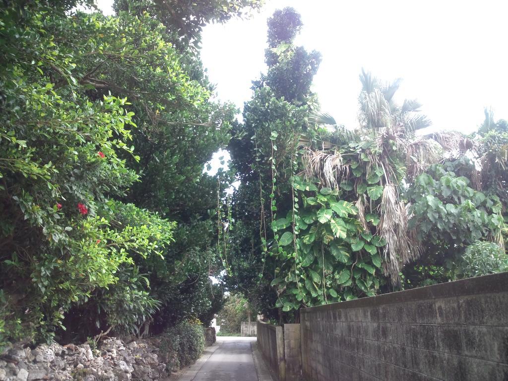白保の宿青い海 石垣市 エクステリア 写真
