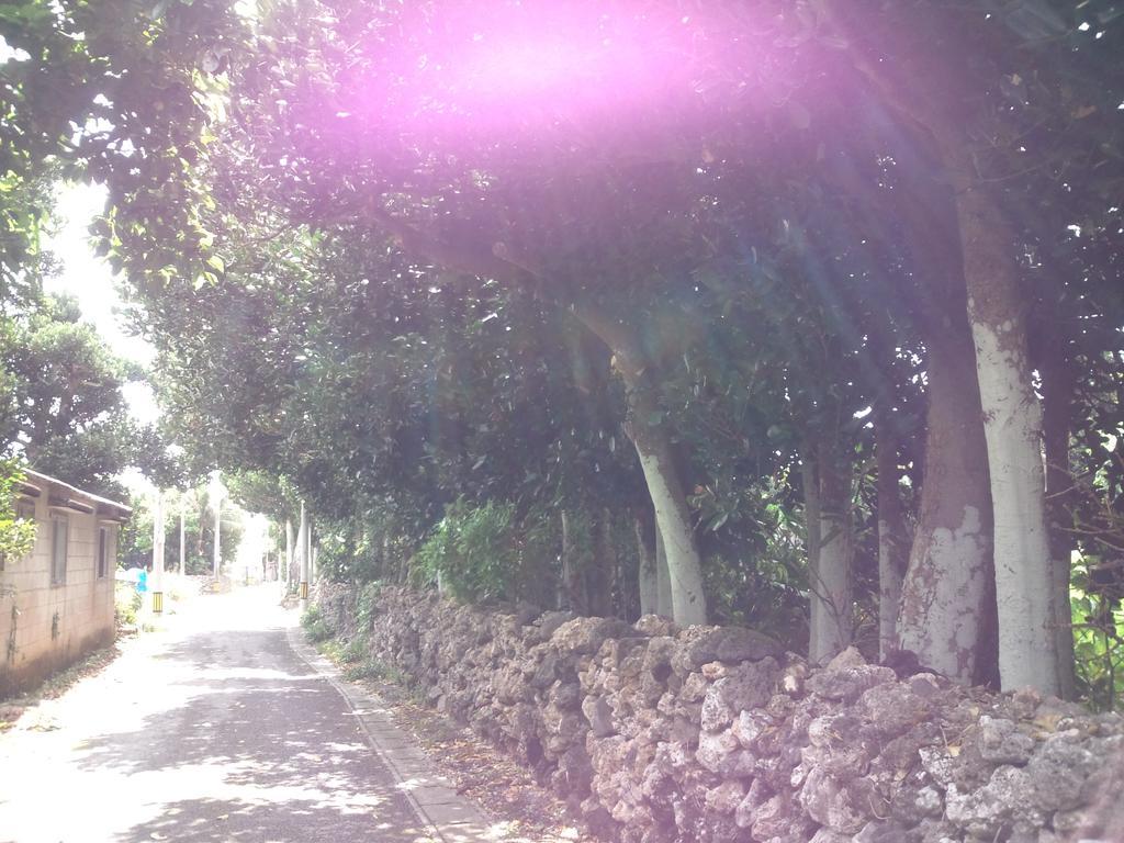 白保の宿青い海 石垣市 エクステリア 写真